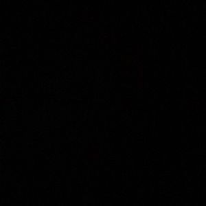 Meet your Posher, Harold